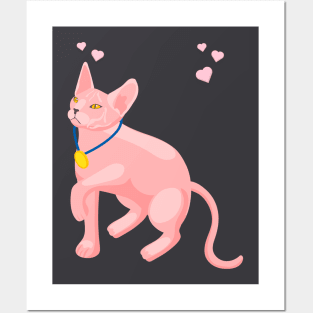 3d effect pink cat with medal Posters and Art